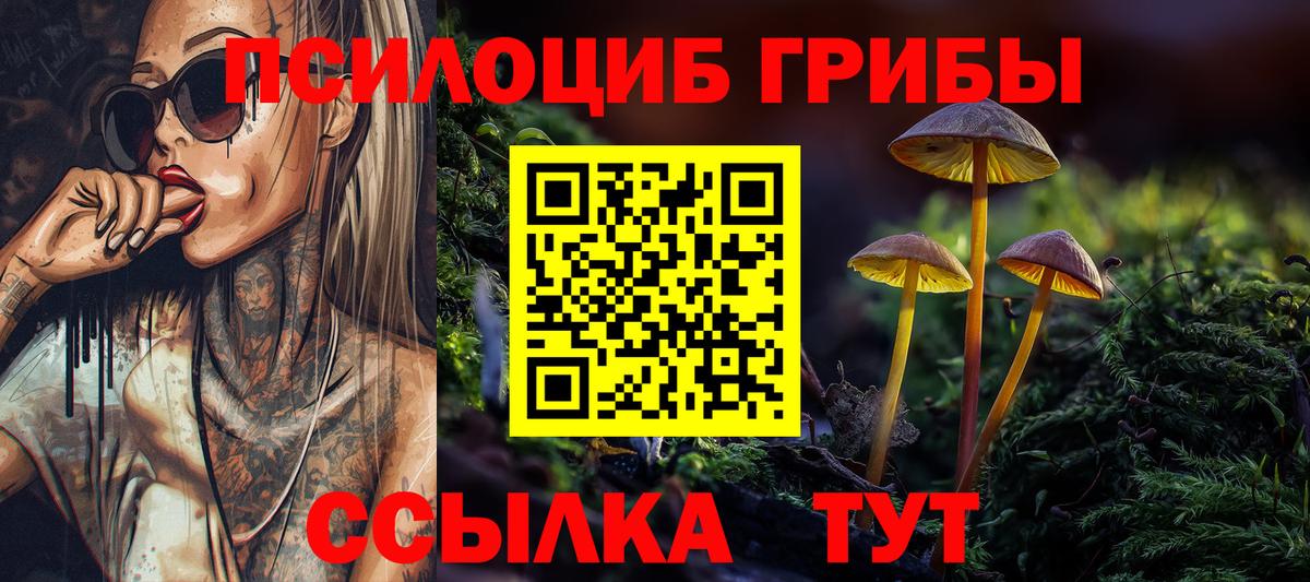 Псилоцибиновые грибы Psilocybe  Галлюциногенные грибы ЛСД  как найти закладки  Вход с VPN  Таганрог 