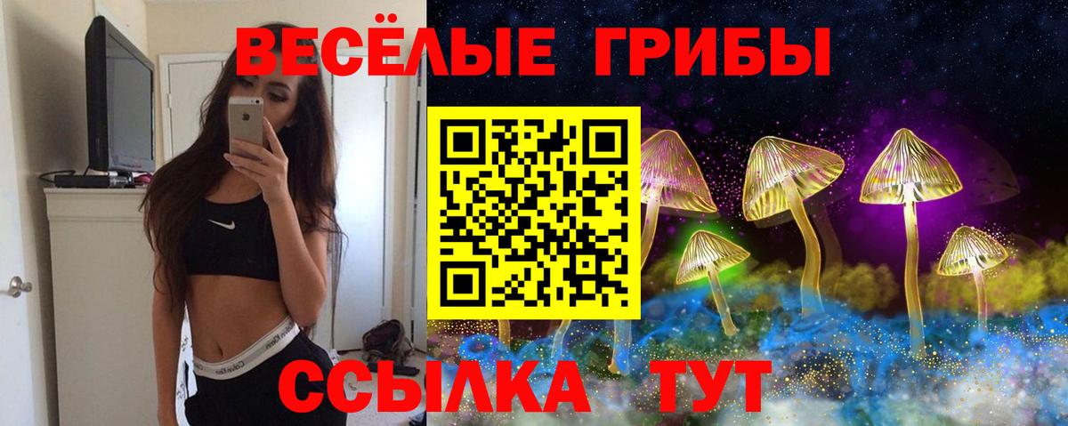 Лсд 25 Таганрог